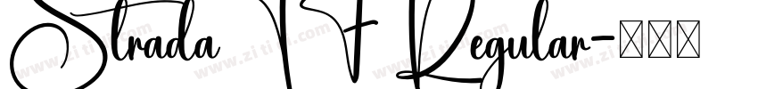 StradaTF Regular字体转换
